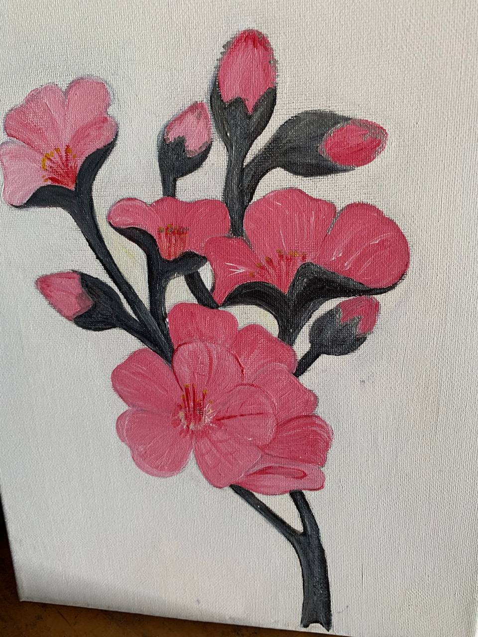 Pink blossom painting on white background